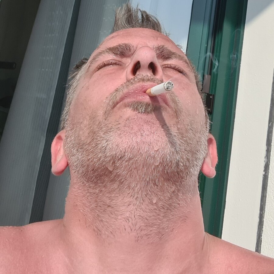 vienna_dilf cover