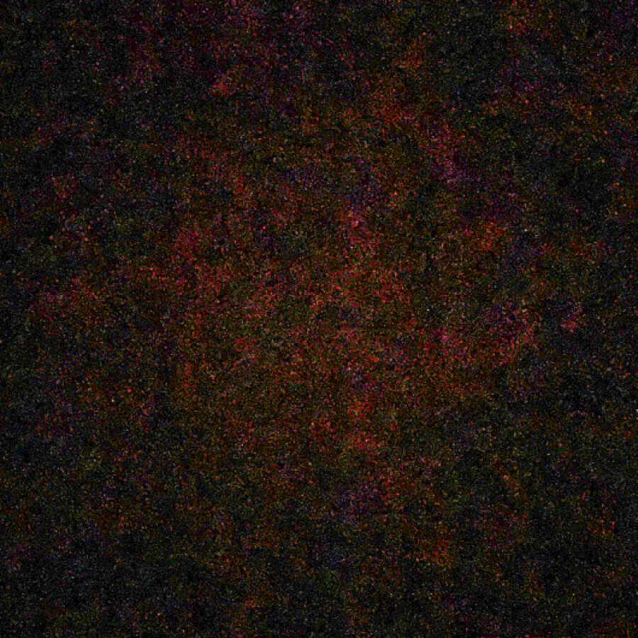 does-not-exist cover