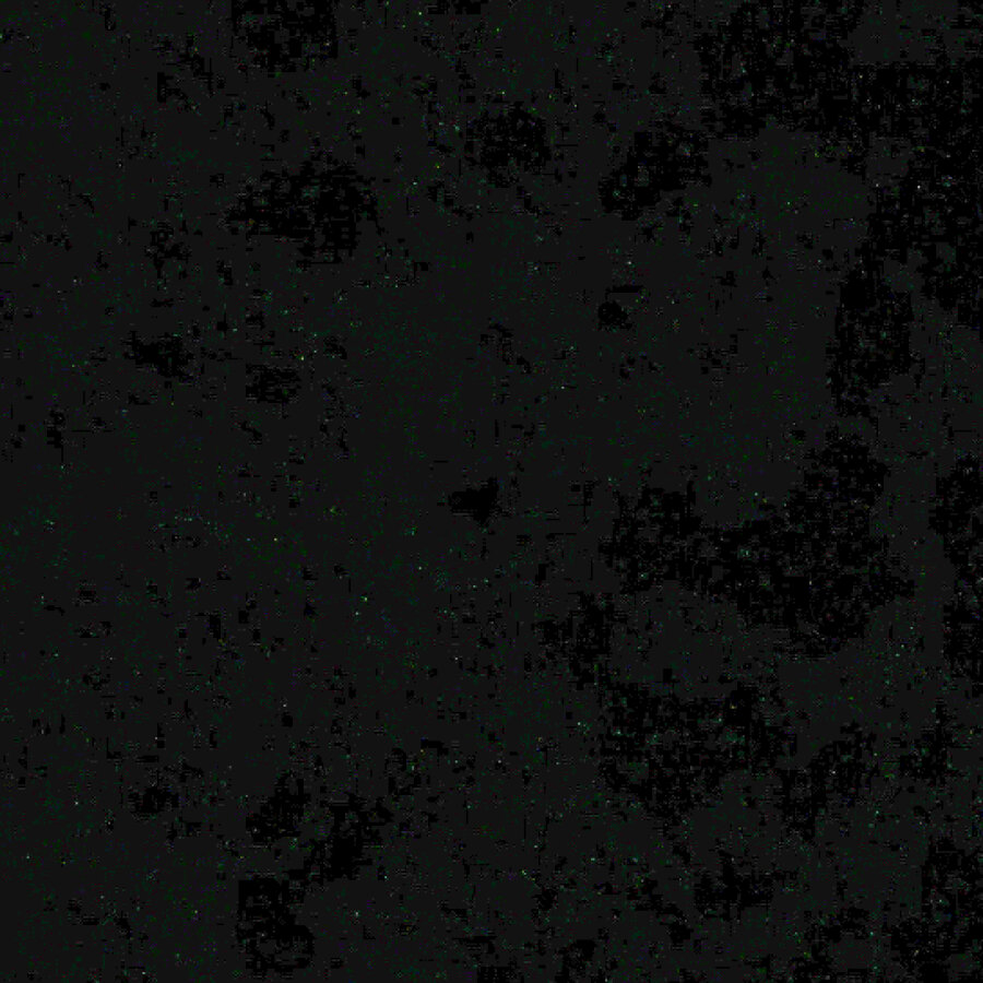 1337 cover