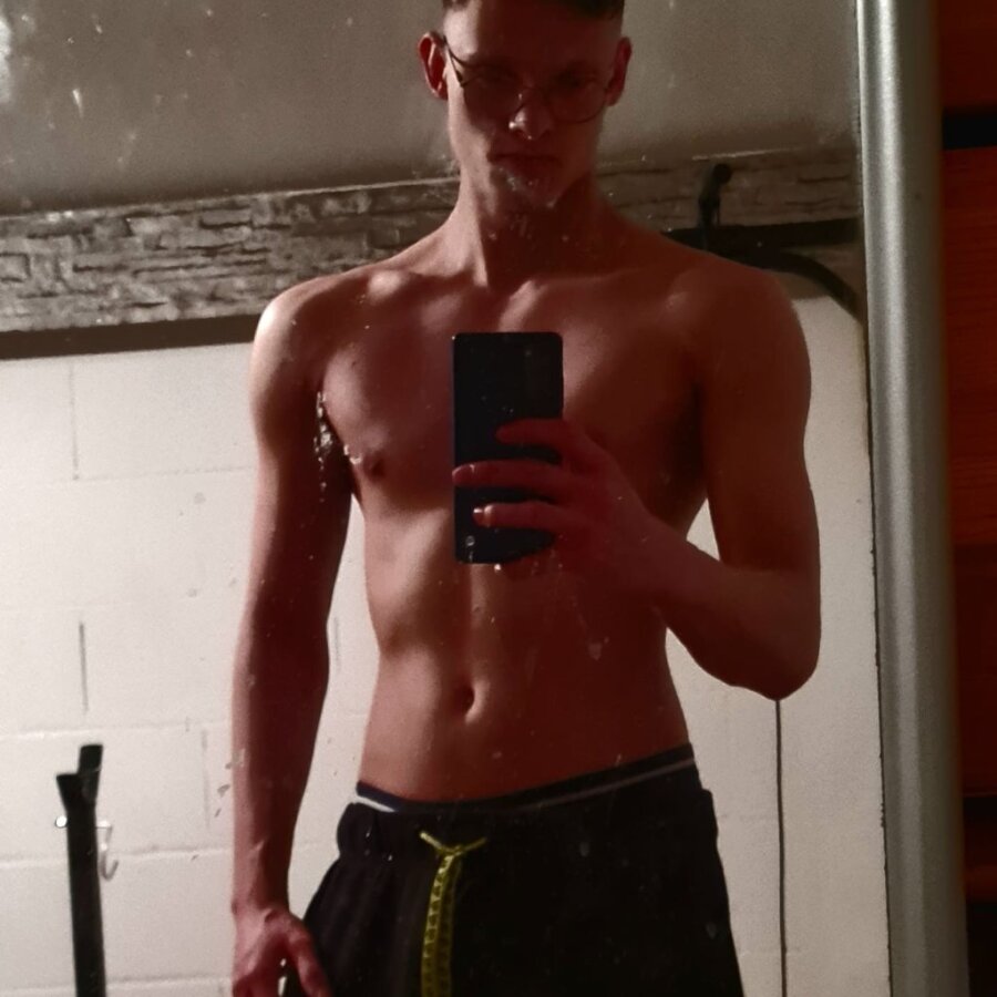 max-schaeff cover