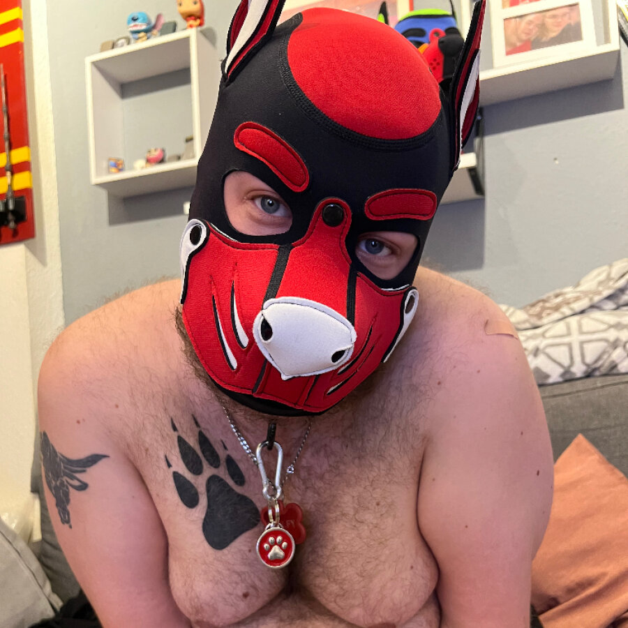 pupw0lfy – 4Based Creator