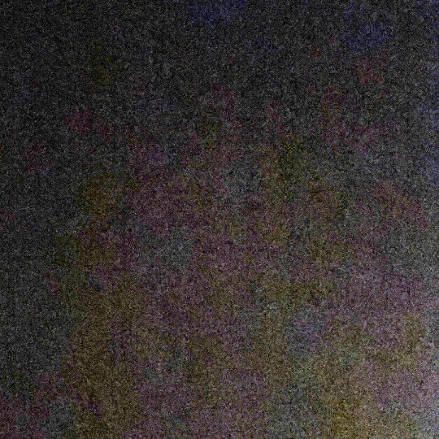 bigdog22 cover