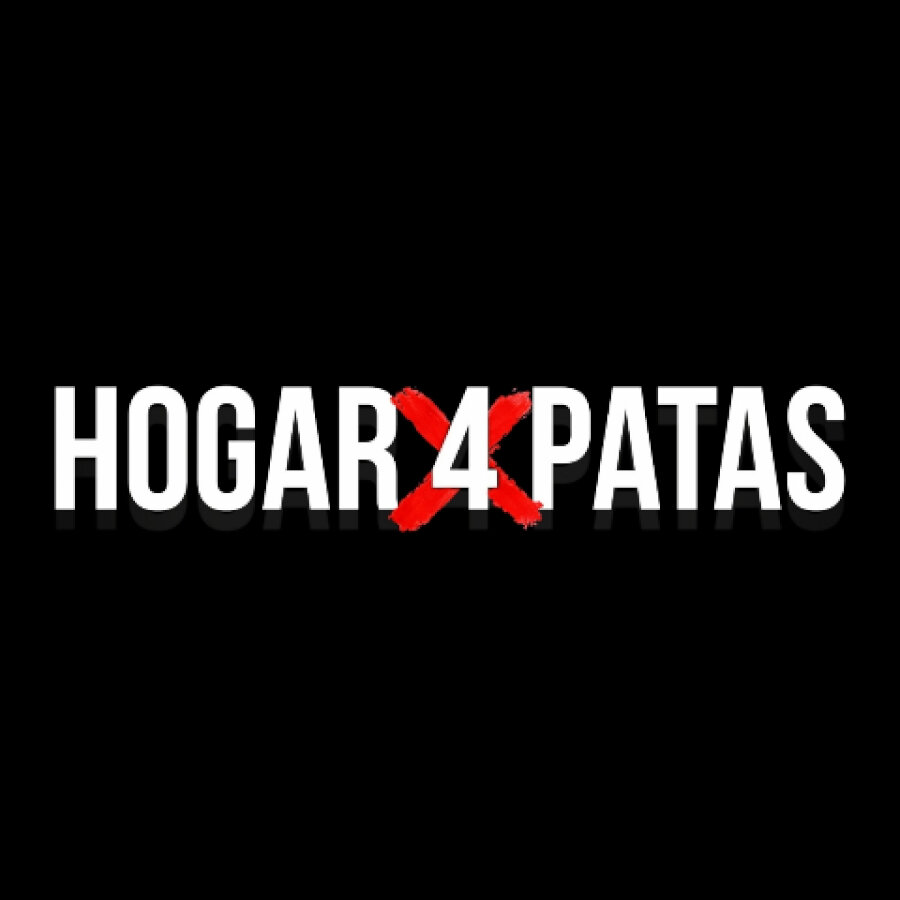 hogar4patas cover