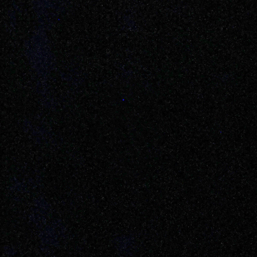 lillyamorelia cover