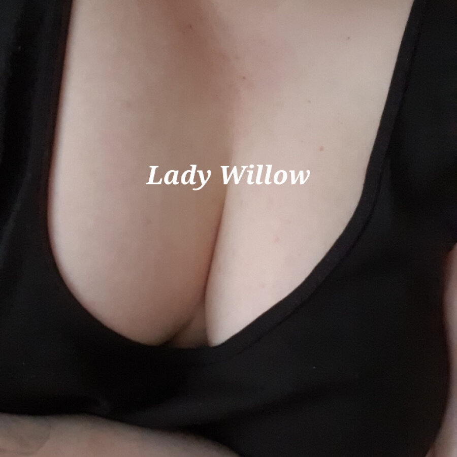 ladywillow cover
