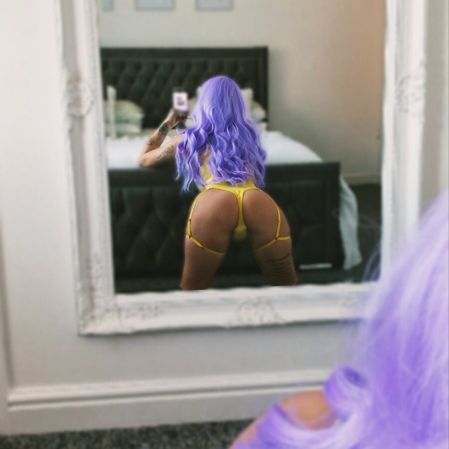 daisyreigny cover