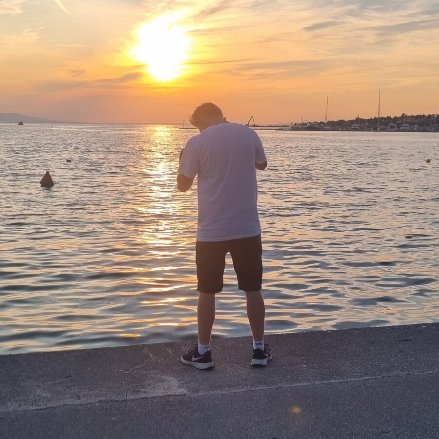 alex_29 cover