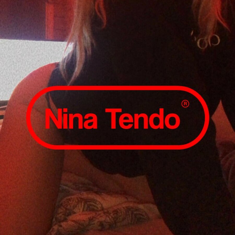 ninatendo cover
