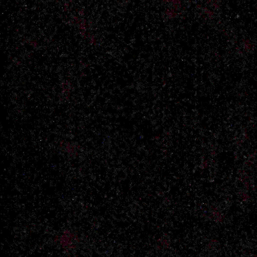 dan95sg cover