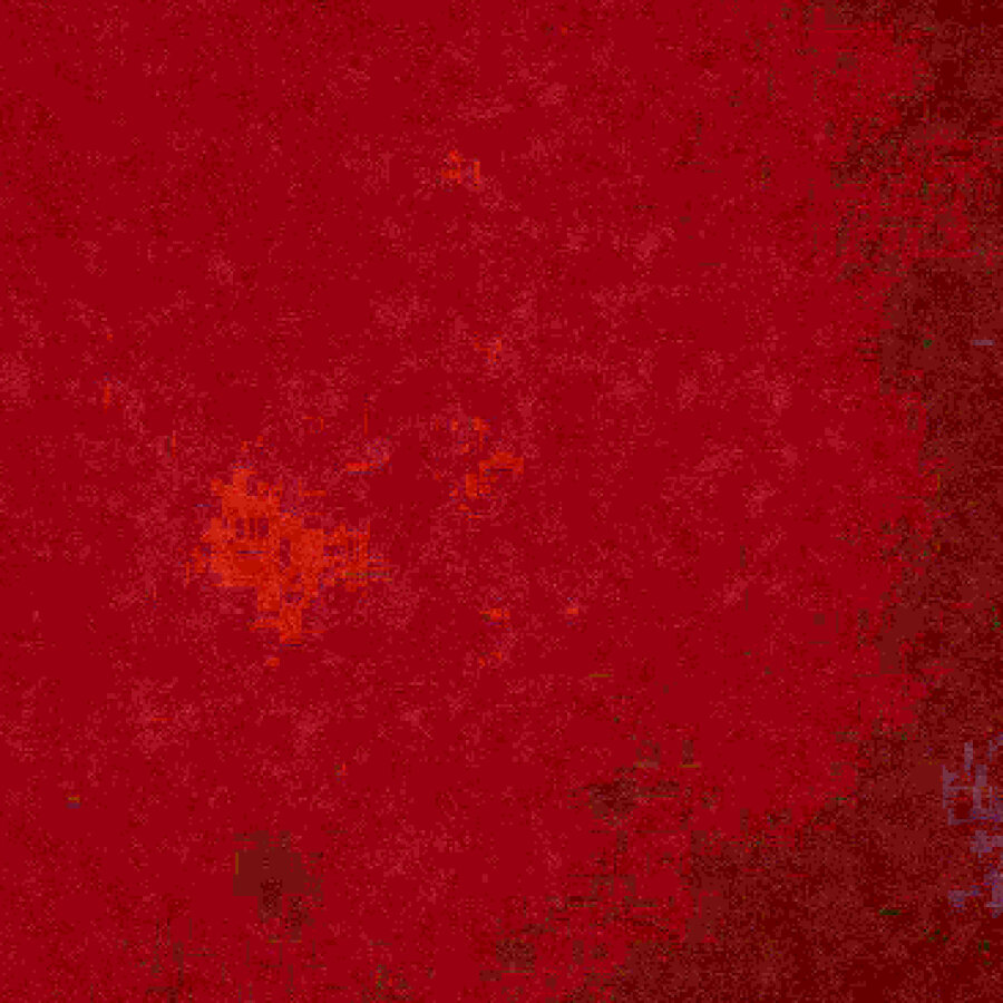 x_red-_-rose_x