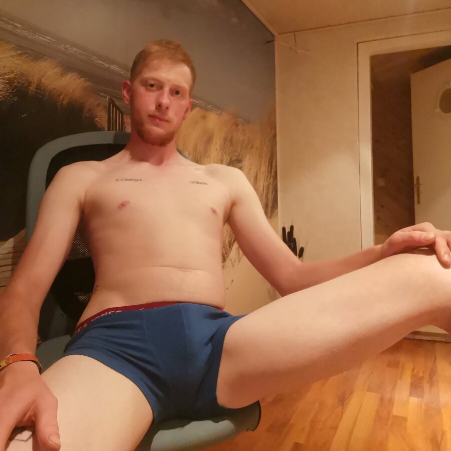 gingerboii – 4Based Creator