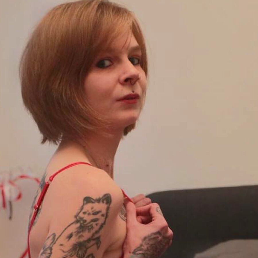 sherry_ink cover