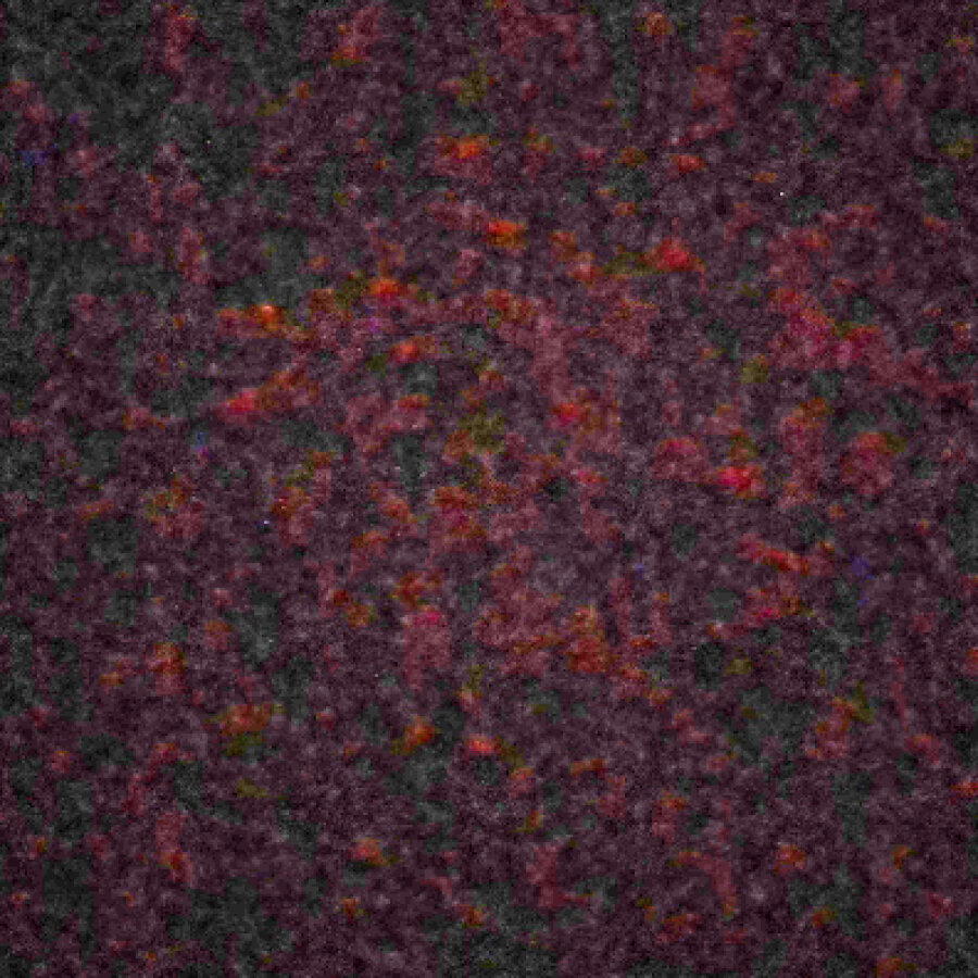 versaute_lea_29