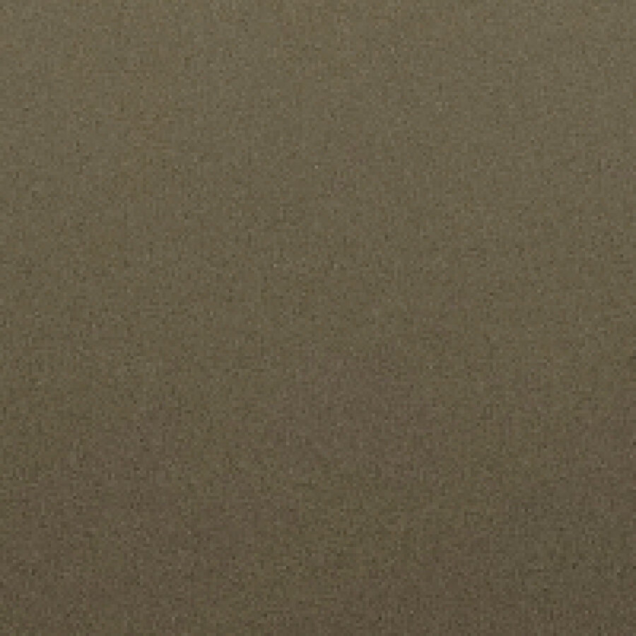 ingee cover
