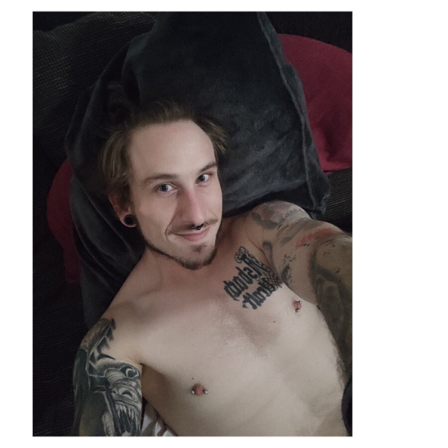 das17schmuckrohr cover
