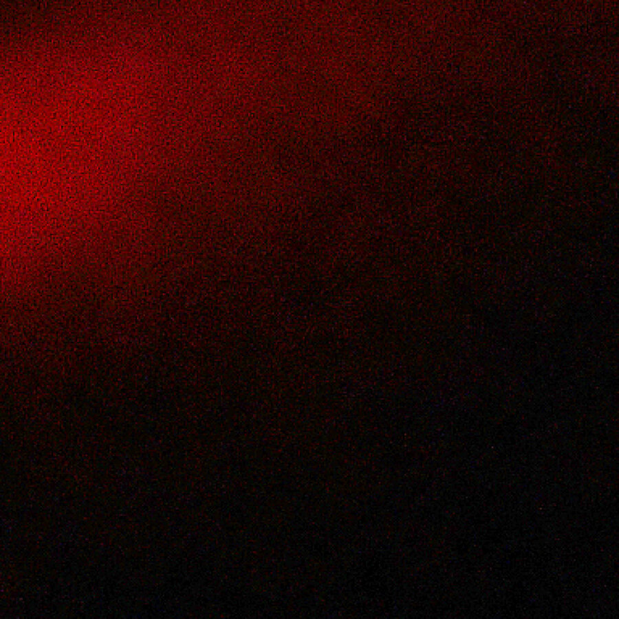 black-fox