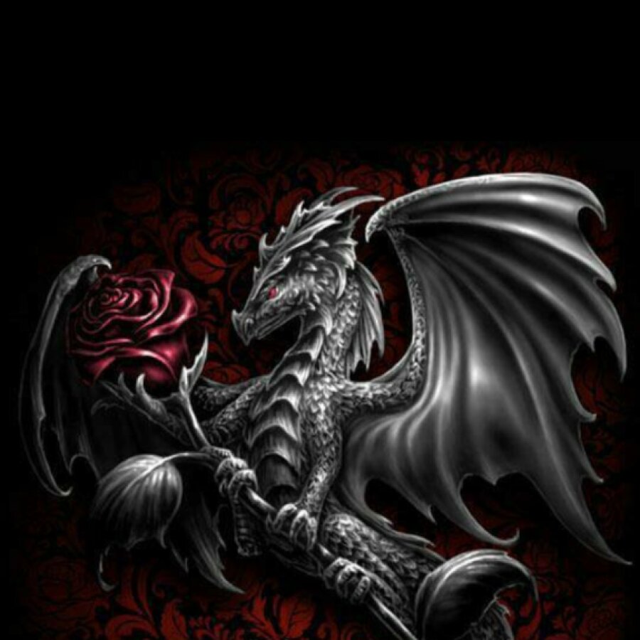 deanita – 4Based Creator