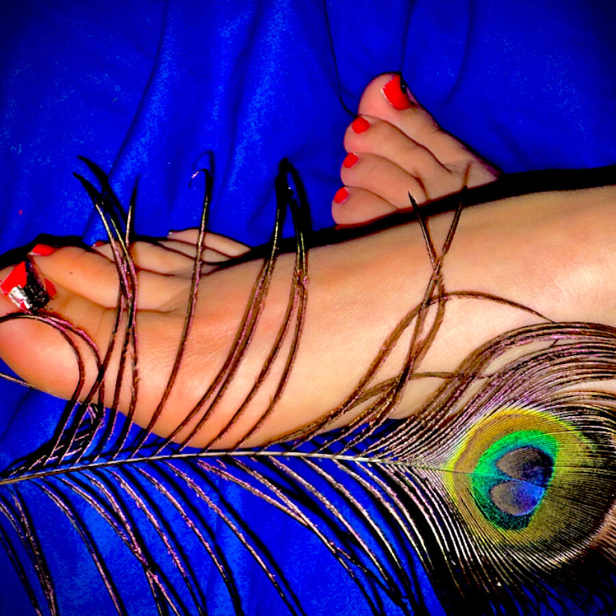 pedicute – 4Based Creator
